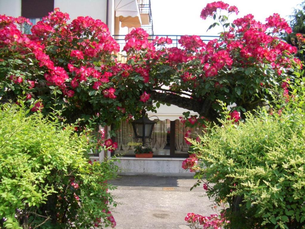 Hotel Bel Sito Πεσκιέρα ντελ Γκάρντα Εξωτερικό φωτογραφία